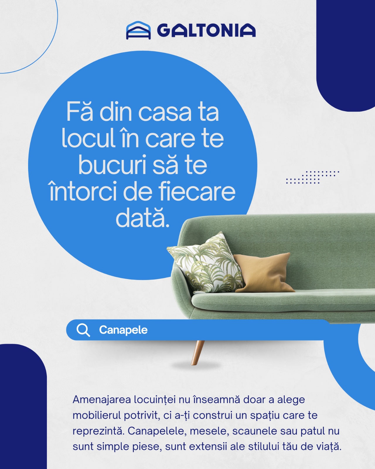 Fă din casa ta locul în care te bucuri să te întorci de fiecare dată, Galtonia